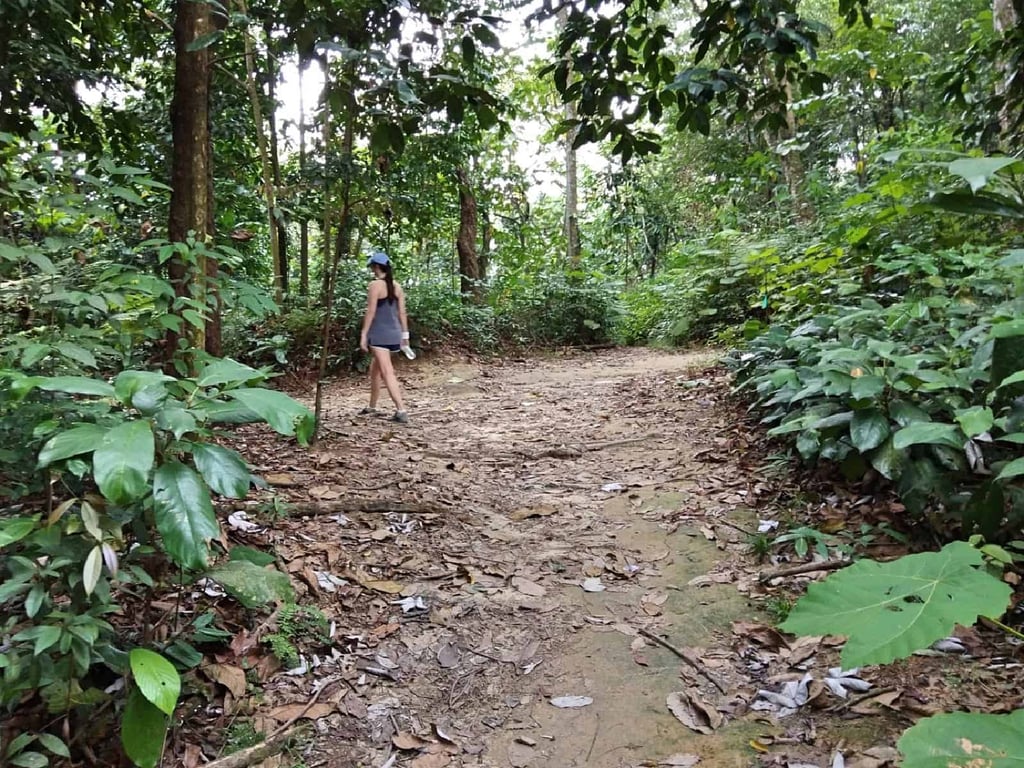 jungle-hiking-Kuala-Lumpur-Bukit-Kiara-trail-guide-TTDI-Mont Kiara-Malaysia ] Travel Mermaid