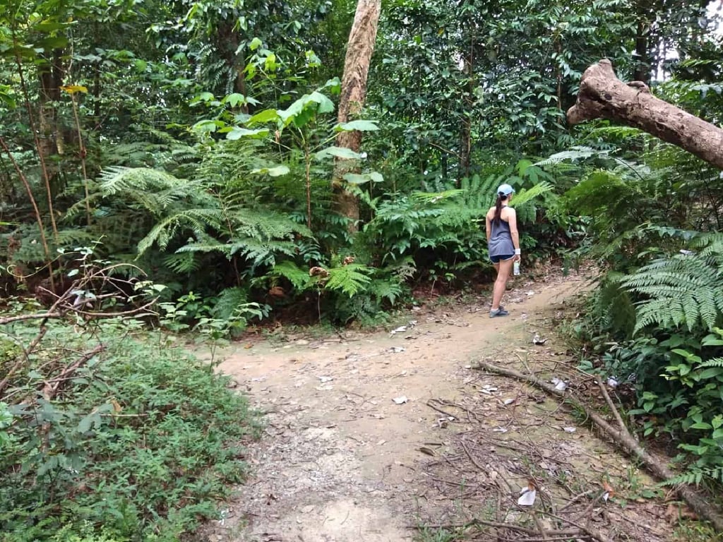 jungle-hiking-Kuala-Lumpur-Bukit-Kiara-trail-guide-TTDI-Mont Kiara-Malaysia ] Travel Mermaid