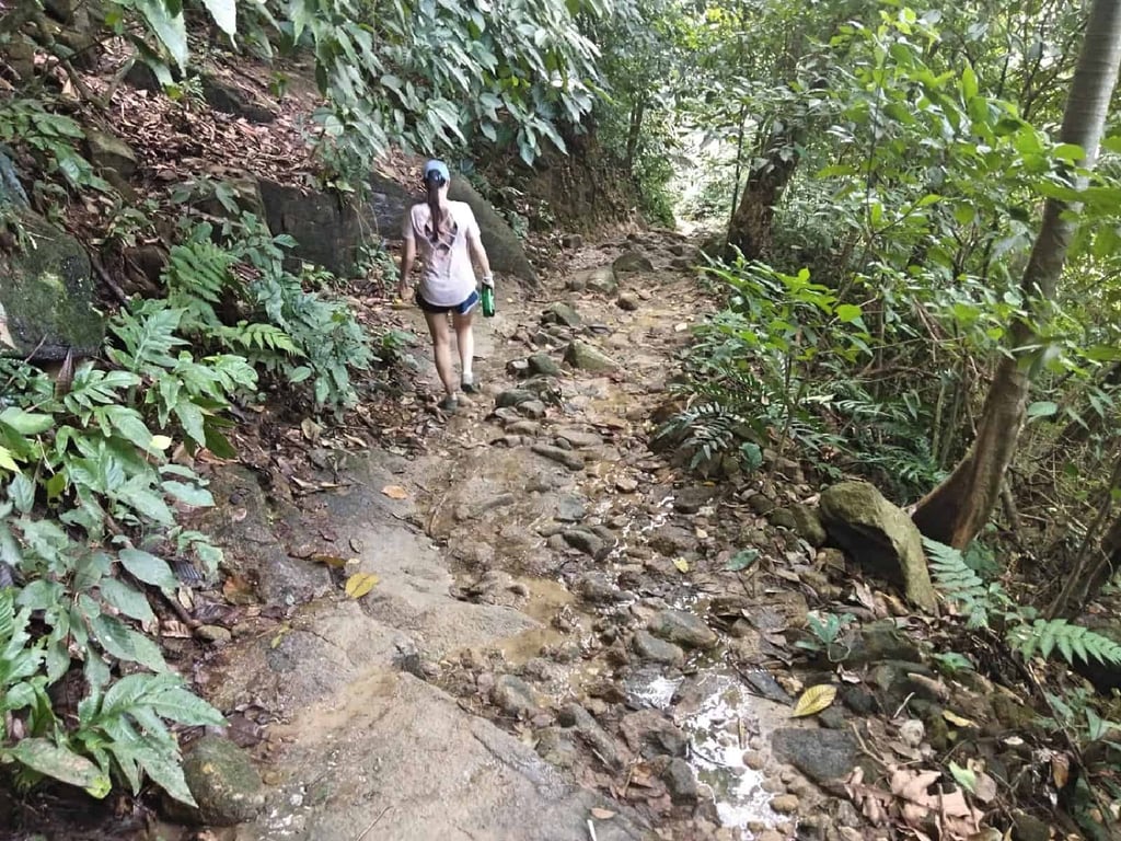 jungle-hiking-Kuala-Lumpur-Bukit-Kiara-trail-guide-TTDI-Mont Kiara-Malaysia ] Travel Mermaid