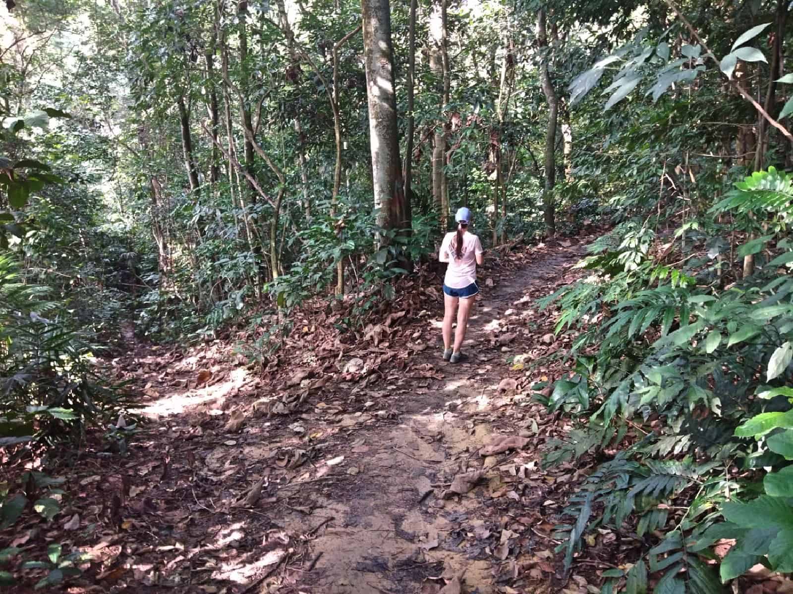 jungle-hiking-Kuala-Lumpur-Bukit-Kiara-trail-guide-TTDI-Mont Kiara-Malaysia ] Travel Mermaid