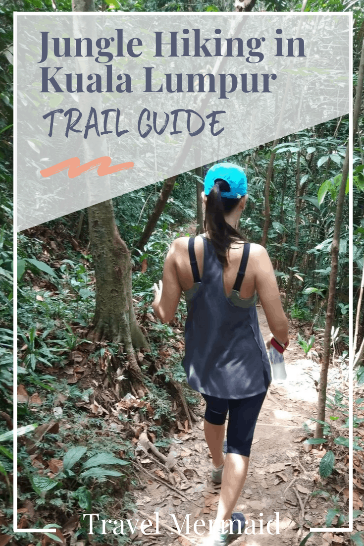 jungle-hiking-kuala-lumpur-bukit-kiara-trail-guide-1 ] Travel Mermaid