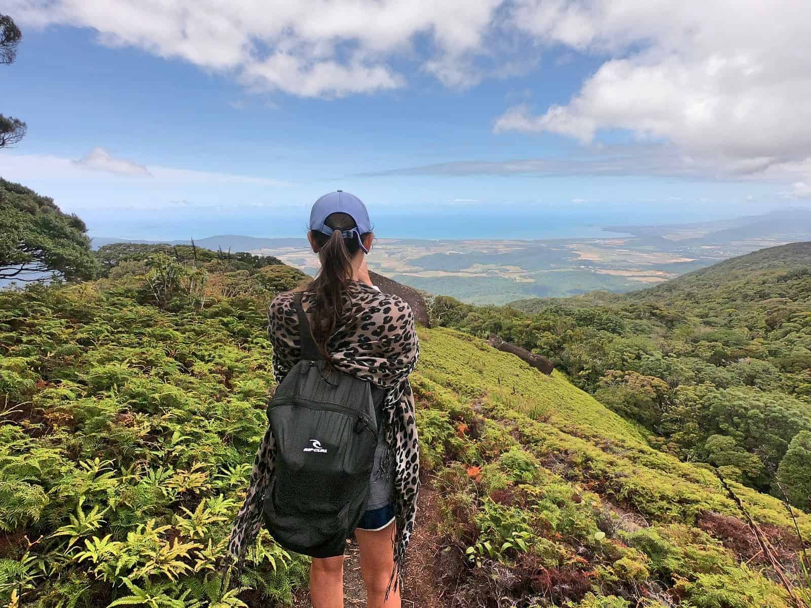 View from the coral fern patch along the Devils Thumb hiking trail in Tropical North Queensland, Australia // Travel Mermaid