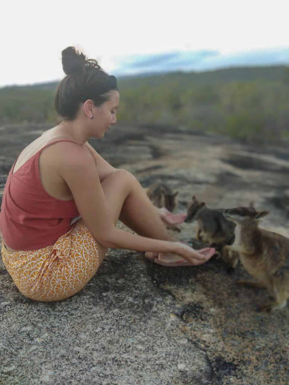 Granite-Gorge-Wallabies-Atherton-Tablelands-North-Queensland-Australia ] Travel Mermaid 178