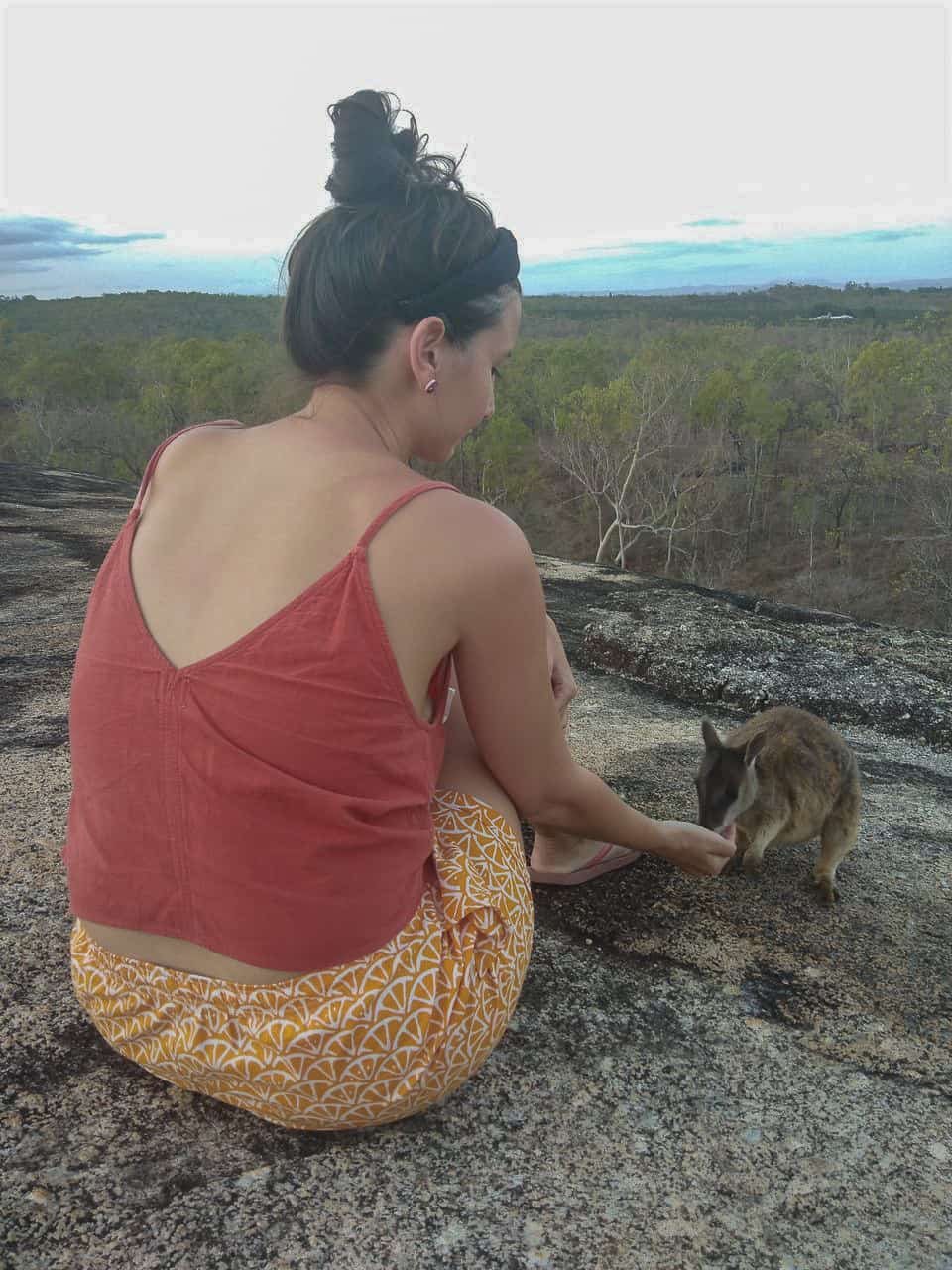 Feeding the wallabies at Granite Gorge Nature Park in Atherton Tablelands, Australia // Travel Mermaid