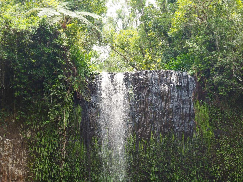 Millaa Millaa Falls near Cairns, North Queensland, Australia // travelmermaid.com