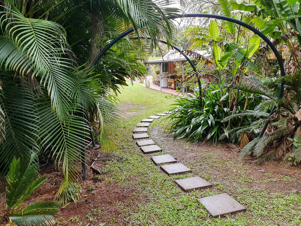 Cairns Tropical Hinterland in the Atherton Tablelands // Travel Mermaid