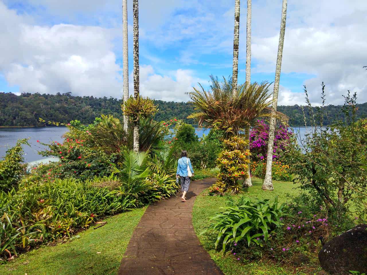 Lake-Barrine-Tearoom-&-Walking-Track-Atherton-Tablelands-North-Queensland-Australia ] Travel Mermaid 029