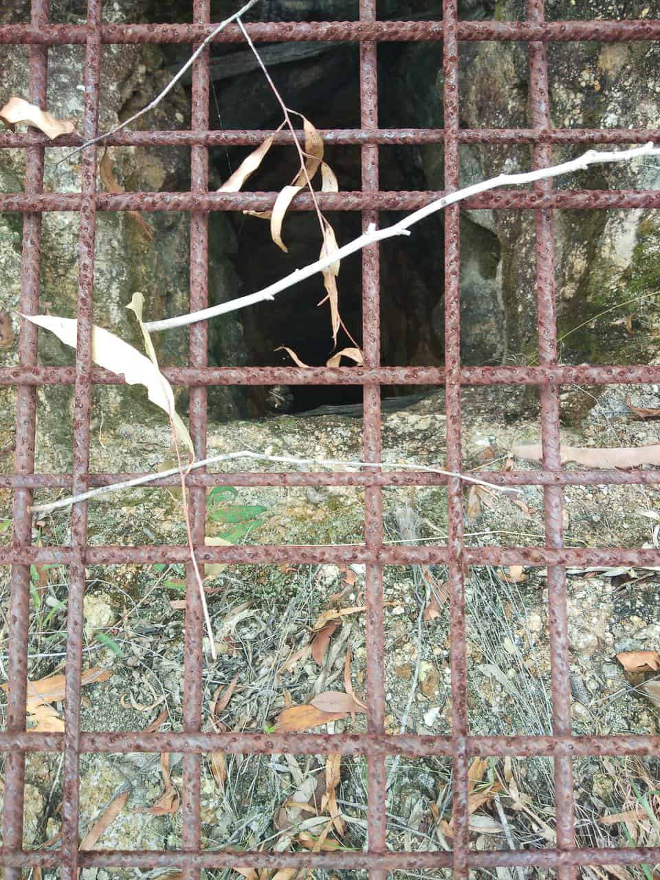 Inside an old mineshaft along the Mt Ida Firetrail walking track in Herberton, North Queensland // Travel Mermaid.com