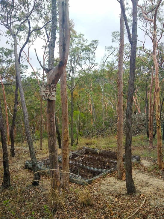 Mt-Ida-Firetrail-Walking-Track-Herberton-Atherton-Tablelands-North-Queensland-Australia ] Travel Mermaid