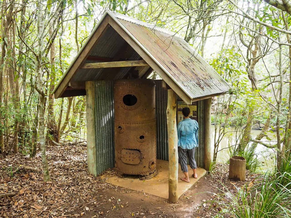 Peterson-Creek-walking-track-Yungaburra-Atherton-Tablelands-North-Queensland-Australia ] Travel Mermaid