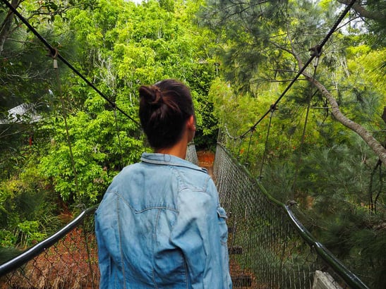 Exploring The Atherton Tablelands: Queensland’s Charming Country Escape