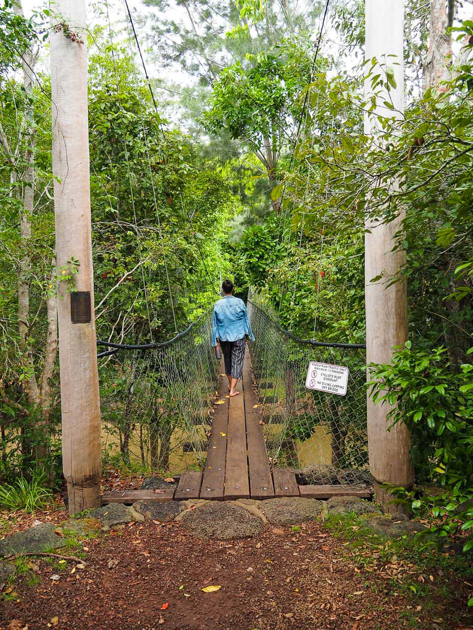 Peterson-Creek-walking-track-Yungaburra-Atherton-Tablelands-North-Queensland-Australia ] Travel Mermaid