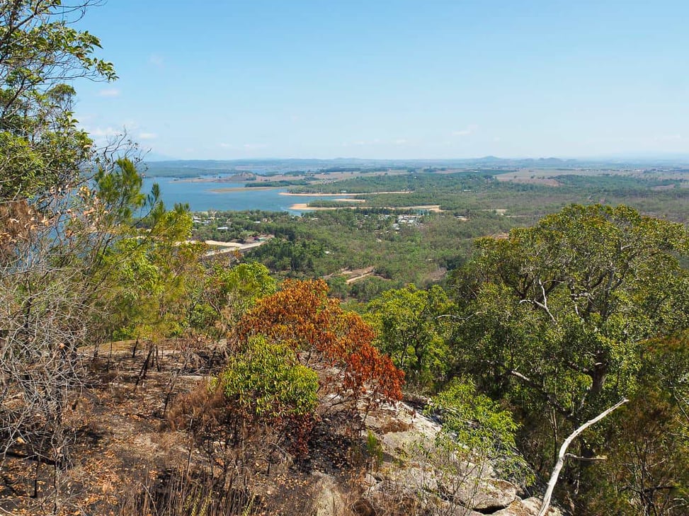 Torpedo Bay walking track in the Atherton Tablelands- Far North Queensland, Australia // Travel Mermaid