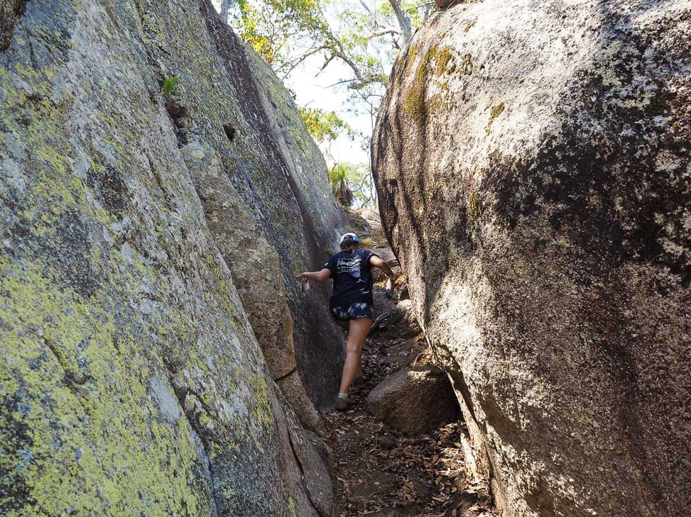 Torpedo Bay walking track in the Atherton Tablelands- Far North Queensland, Australia // Travel Mermaid
