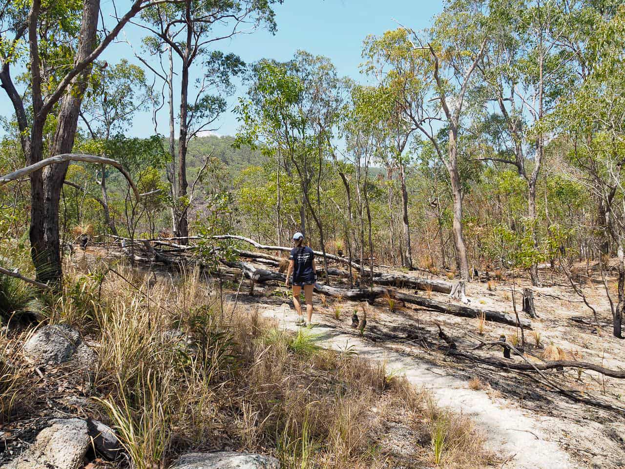 Torpedo Bay walking trail in the Atherton Tablelands, Australia // Travel Mermaid