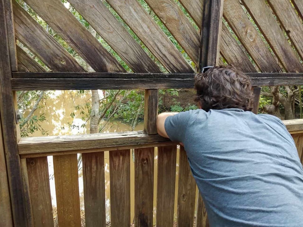 Yungaburra-town-Atherton-Tablelands-North-Queensland-Australia ] Travel Mermaid