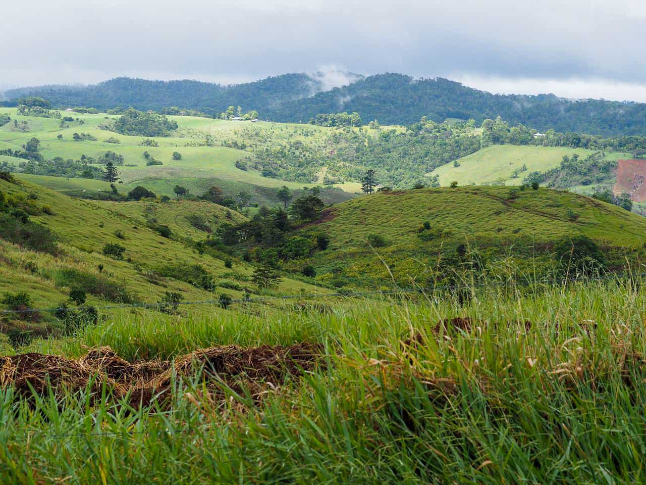 The Atherton Tablelands countryside in Far North Queensland, Australia // Travel Mermaid