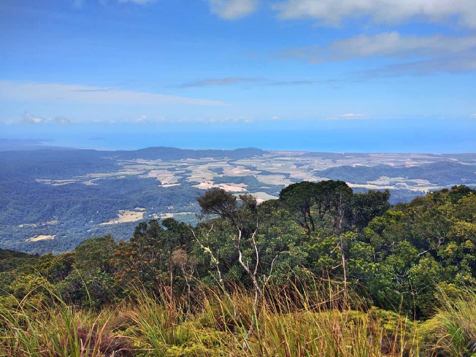 View from the coral fern patch along The Devil's Thumb hiking trail in North Queensland, Australia // Travel Mermaid