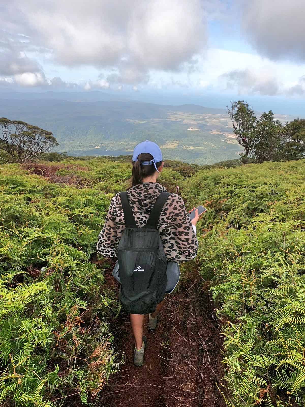 walking through the coral fern patch along The Devil's Thumb hiking trail, North Queensland // Travel Mermaid