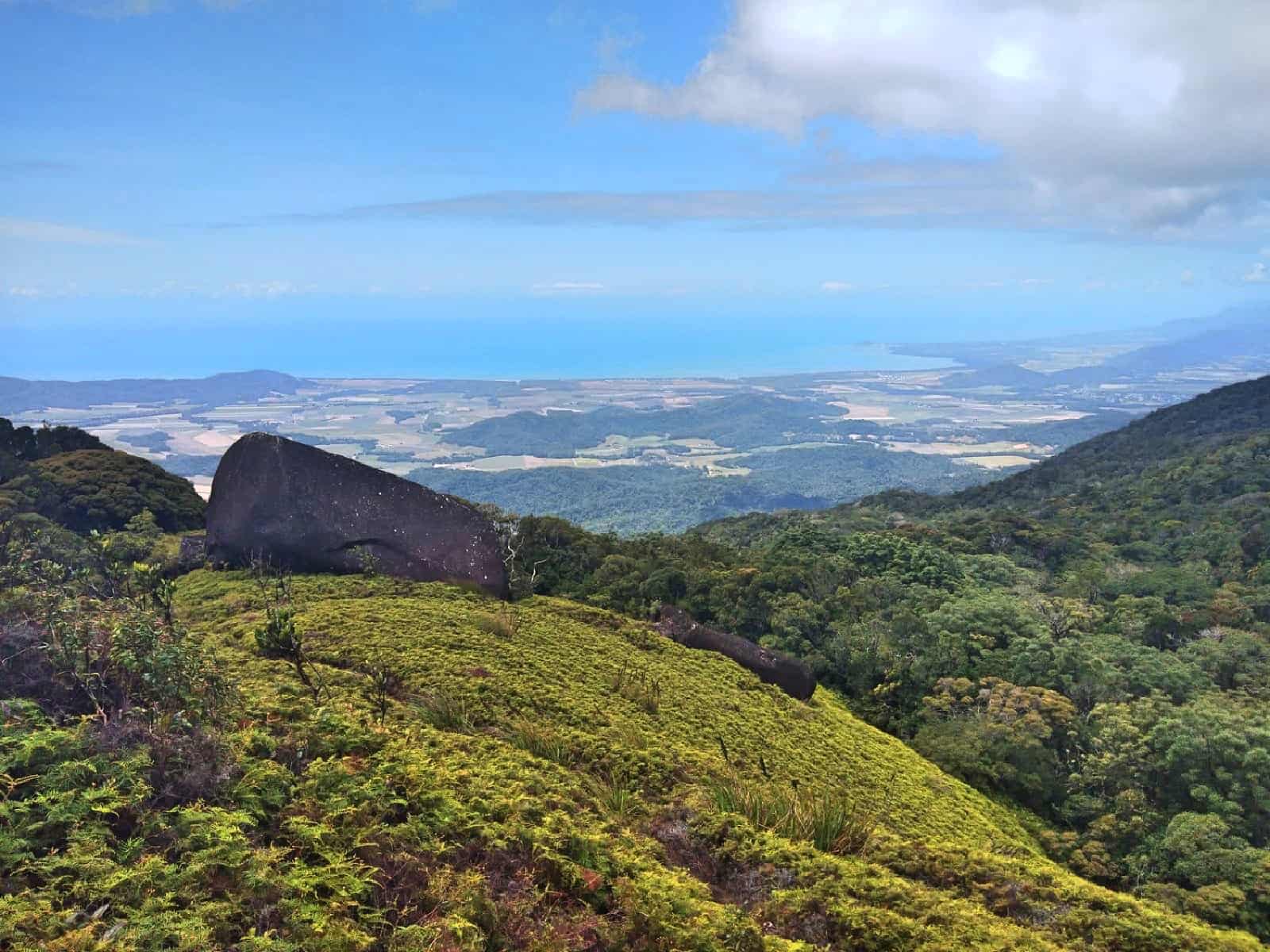 View of North Queensland from the Coral Fern Patch along the Manjal Jimalji trail, Queensland // Travel Mermaid