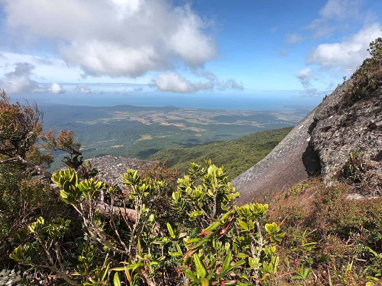 View from the Devil's Thumb, Manjal Jimalji trail, Queensland // Travel Mermaid