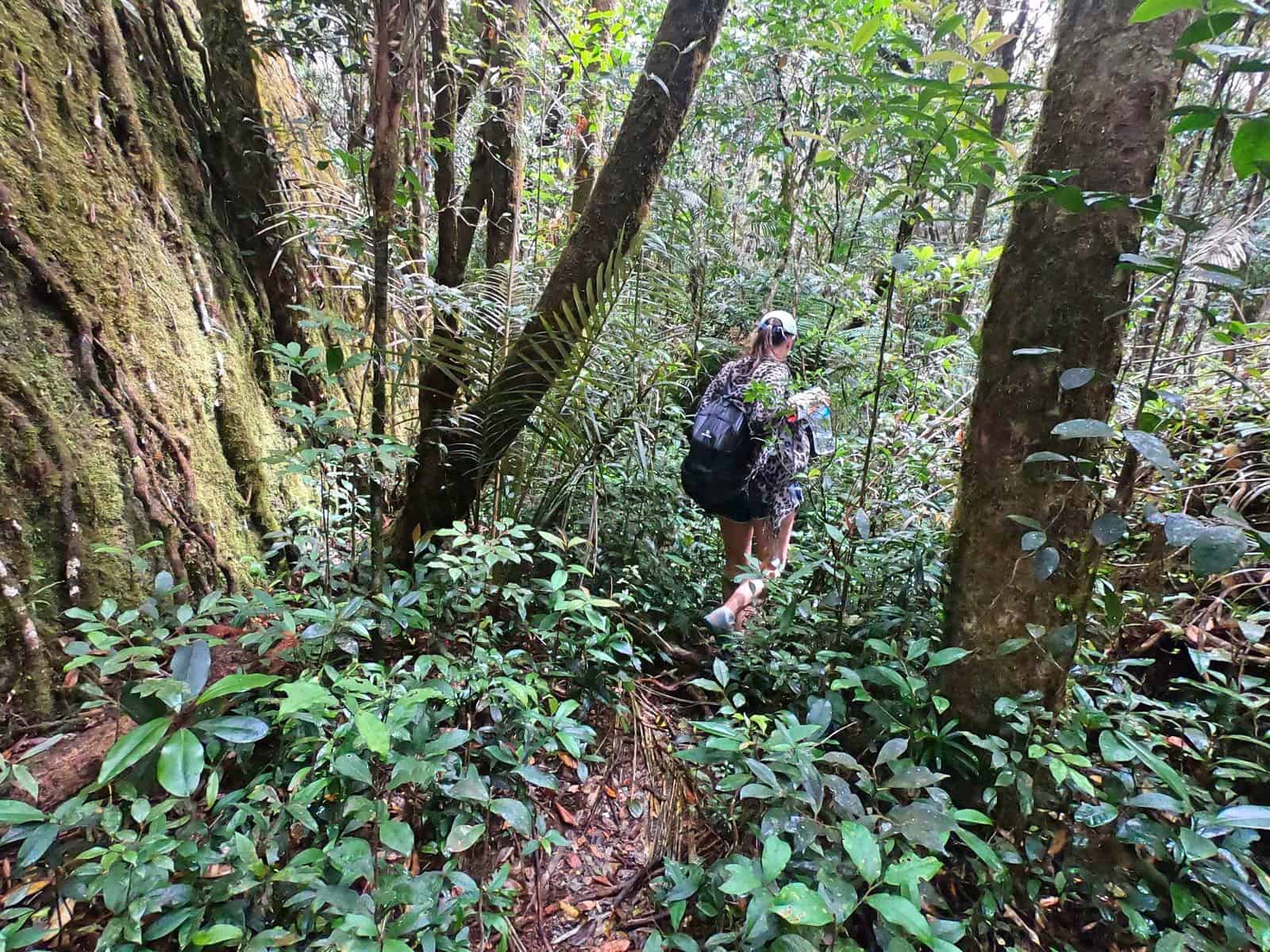 walking to the Devil's Thumb // Travel Mermaid