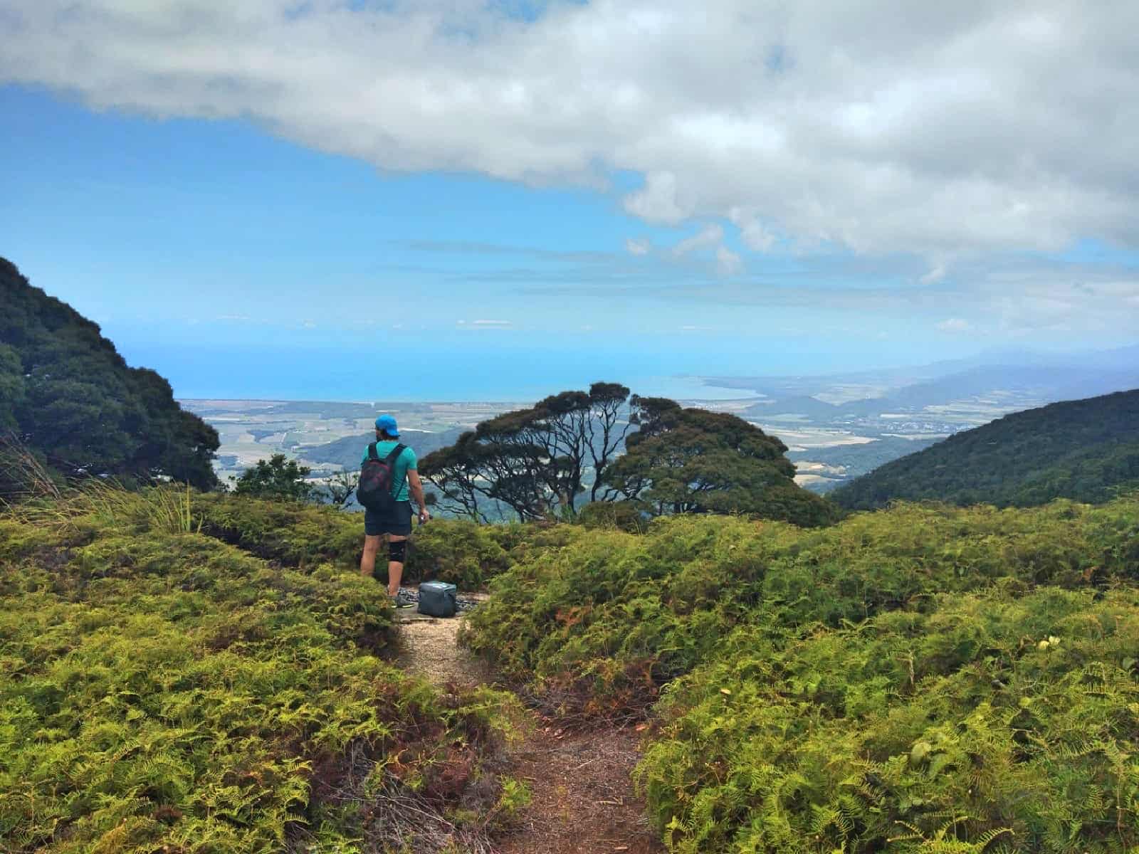 view from the coral fern patch along Manjal Jimalji trail, North Queensland // Travel Mermaid