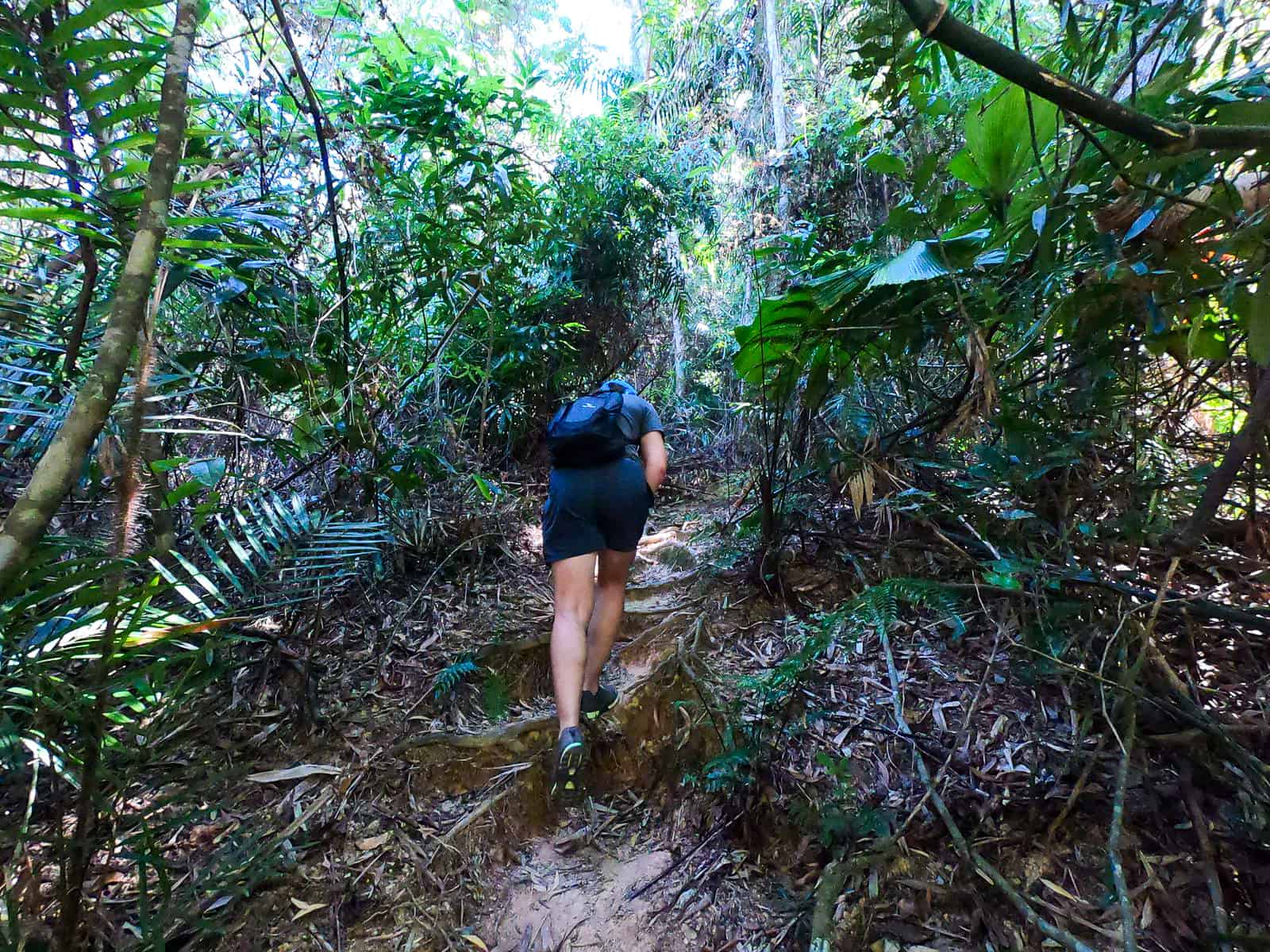 The start of the ascent along The Devil's Thumb hiking trail in Queensland // Travel Mermaid
