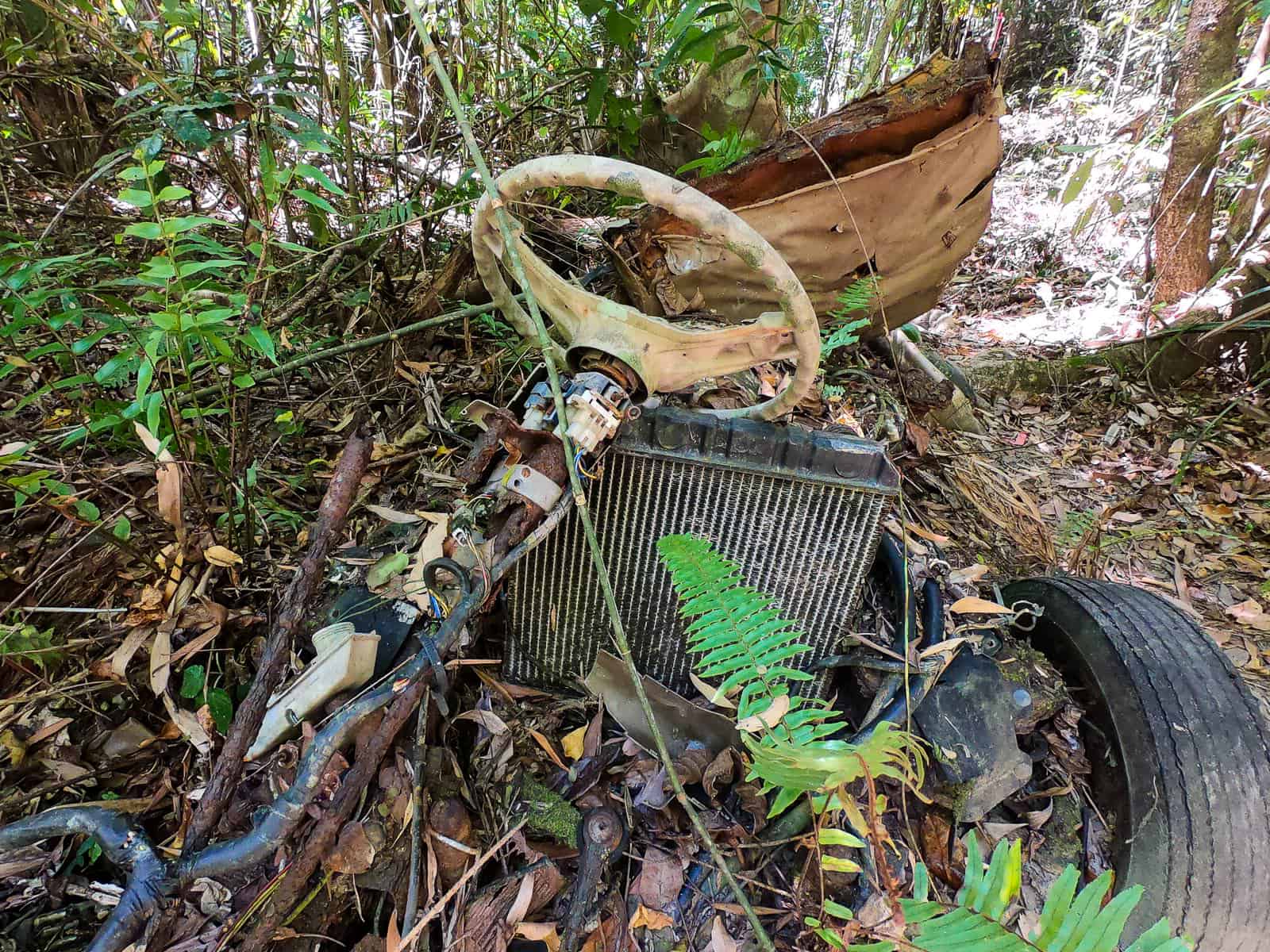 An old broken car at the start of the Manjal Jimalji hiking ytrail, North Queensland // Travel Mermaid