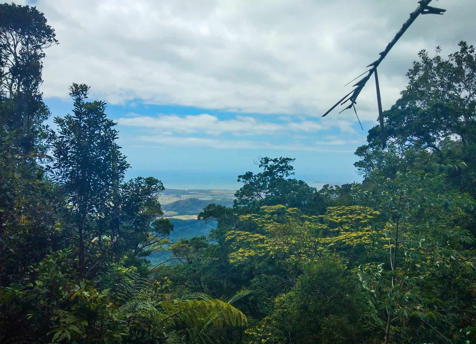 Views along the Devil's Thumb hiking track in Australia // Travel Mermaid