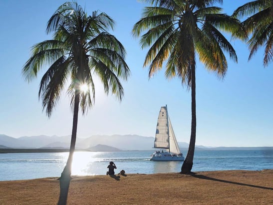 Best Things To Do In Port Douglas (2025)