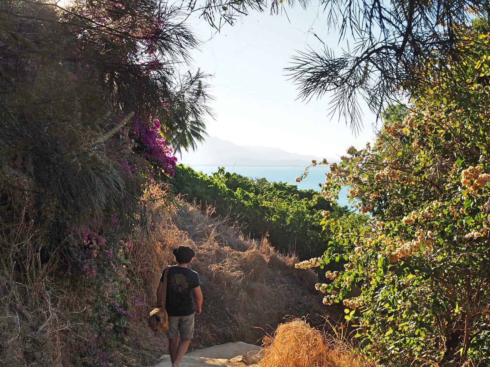 The Flagstaff Hill walking trail in Port Douglas // Travel Mermaid