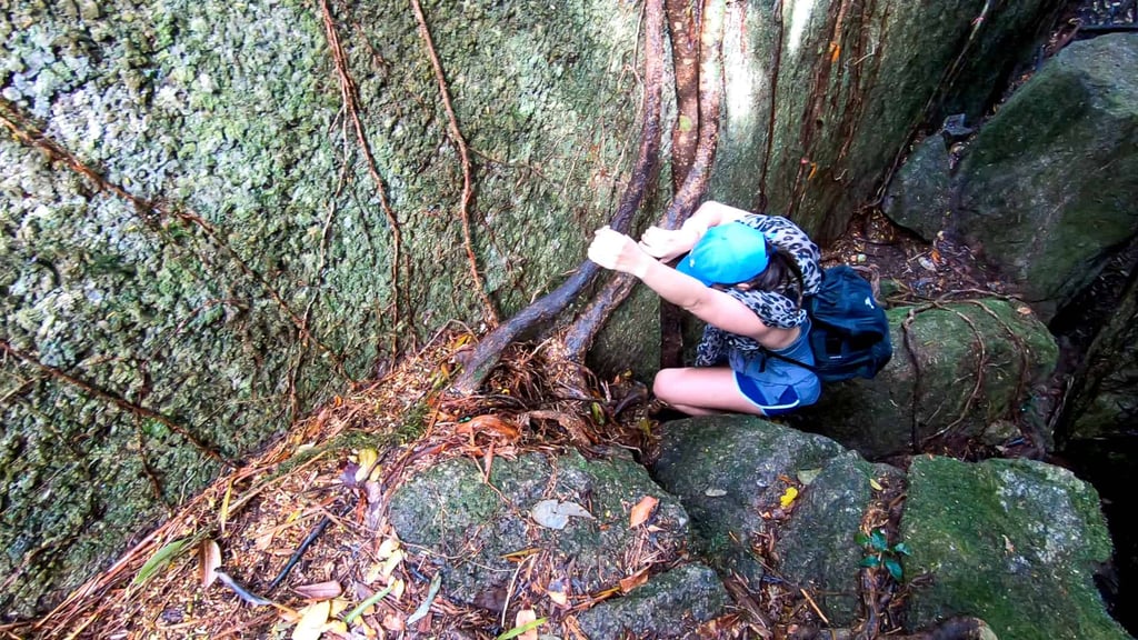 Climbing over Split Rock on The Devil's Thumb hike in Queensland, Australia // Travel Mermaid