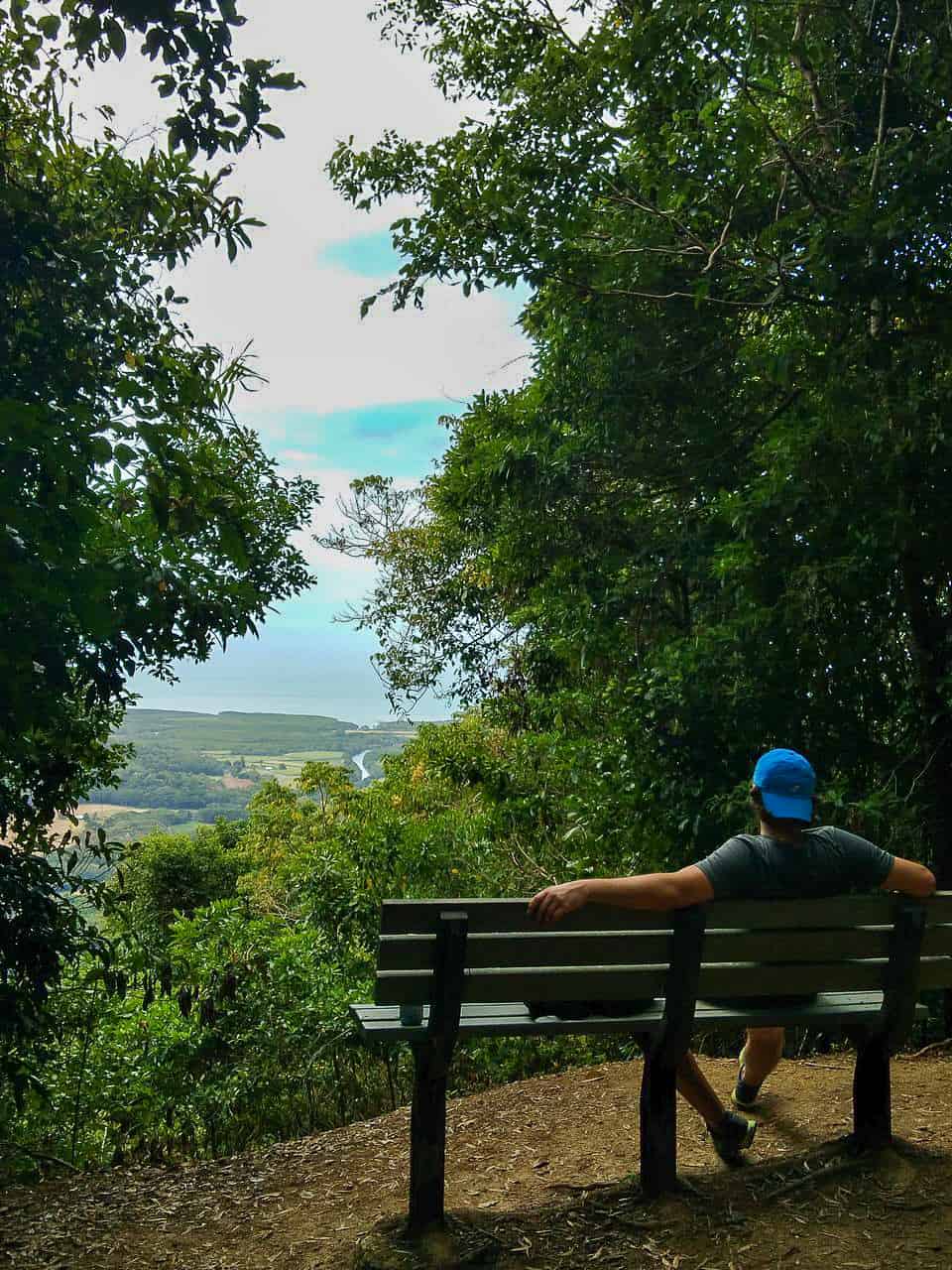 The Landing and viewpoint along the Bump Track walking trail in Port Douglas, Australia // Travel Mermaid