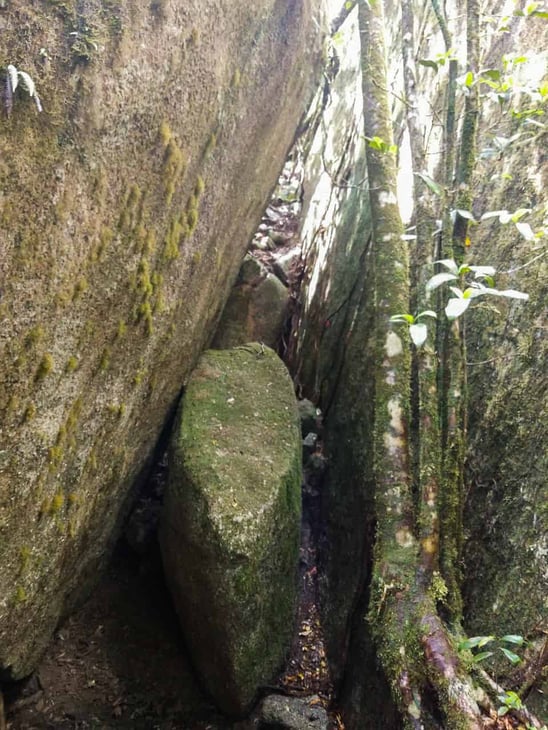 Split Rock along The Devil's Thumb hiking trail- Queensland, Australia // Travel Mermaid