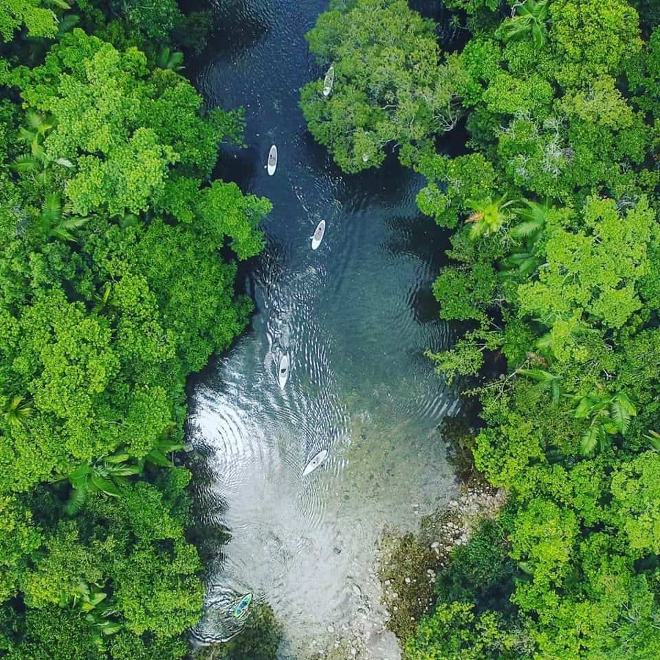 Mossman River SUP with Windswell, Australia // Travel Mermaid