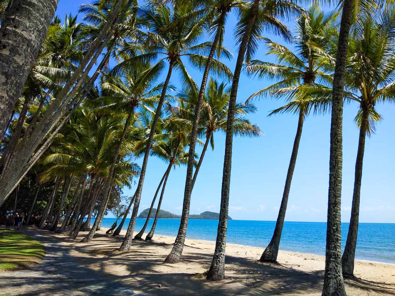 Palm Cove Beach near Cairns, Australia // Travel Mermaid