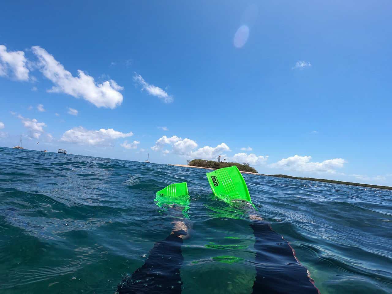 Snorkelling around the Low Isles near Port Douglas on the Great Barrier Reef // Travel Mermaid