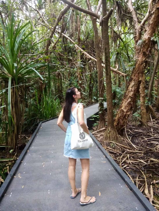 Botanical Gardens in Cairns, Queensland // Travel Mermaid