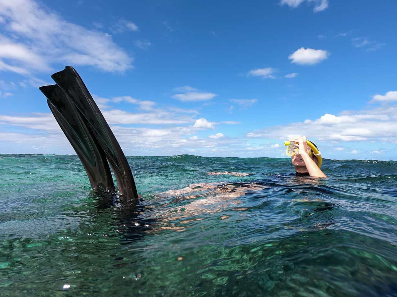 Snorkelling on the Outer Great Barrier Reef near Port Douglas // Travel Mermaid