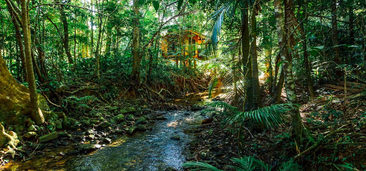 Or cabin at Wildwood in Cape Tribulation in the Daintree rainforest, Far North Queensland // Travel Mermaid