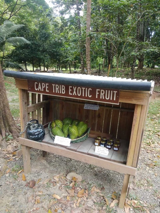 Cape Tribulation Exotic Fruit Farm, Australia // Travel Mermaid