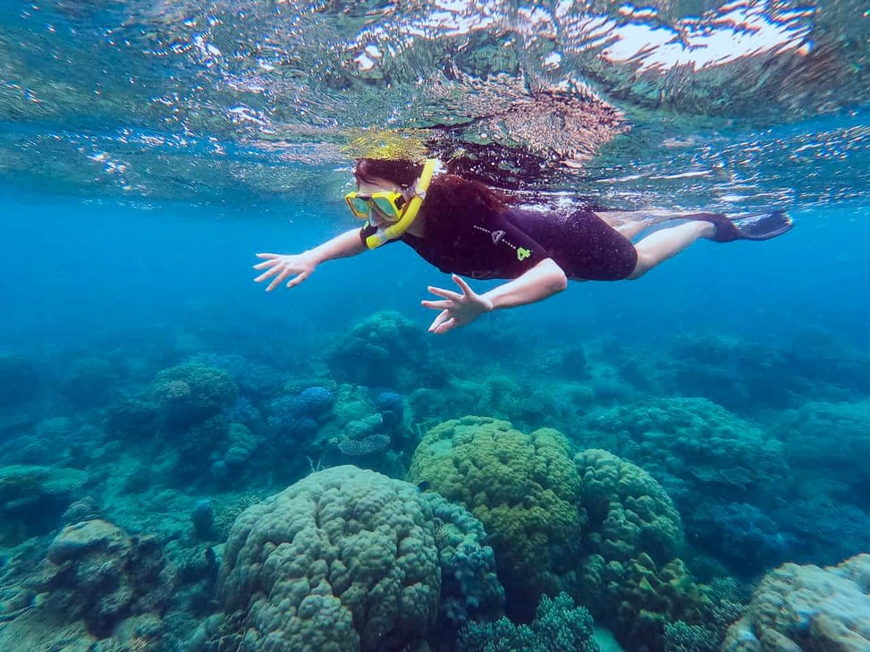 Snorkelling on the Outer Great Barrier Reef near Port Douglas // Travel Mermaid