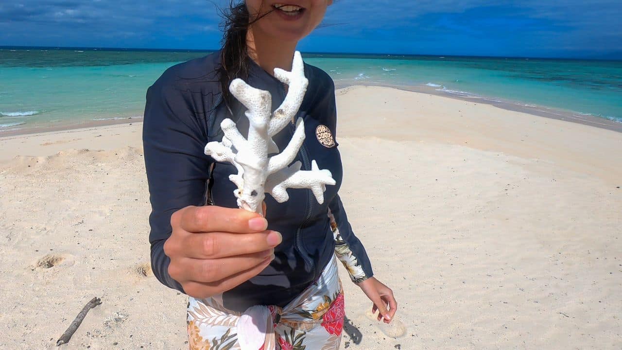 Bleached coral on Mackay Cay within the outer Great Barrier Reef, Queensland // Travel Mermaid