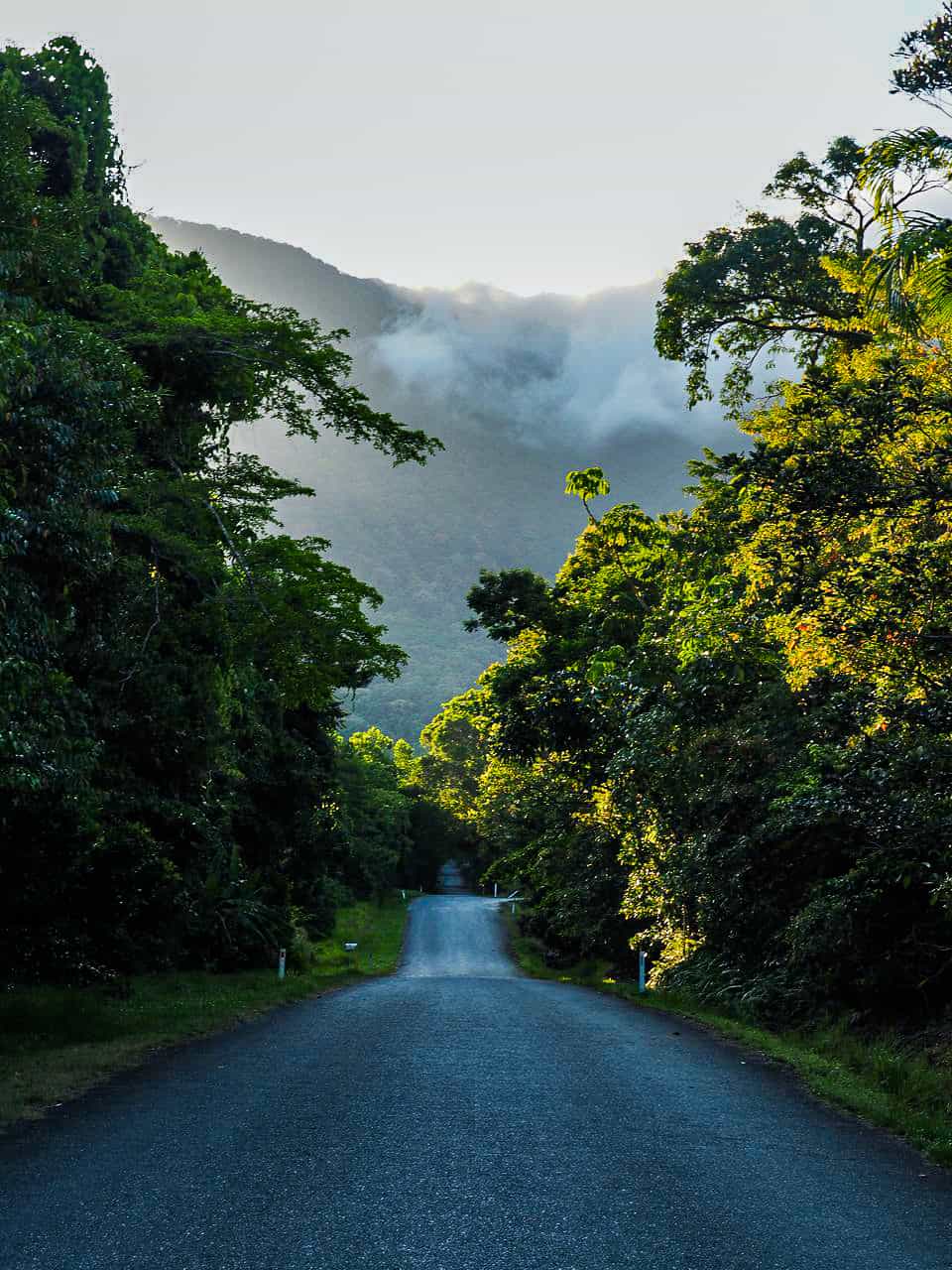 Driving through Cape Tribulation, Daintree Rainforest- Australia // Travel Mermaid