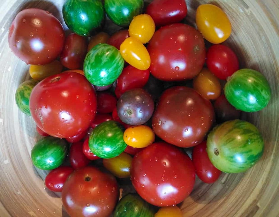Fresh heirloom tomatoes from my local food market in Port Douglas, Australia // Travel Mermaid