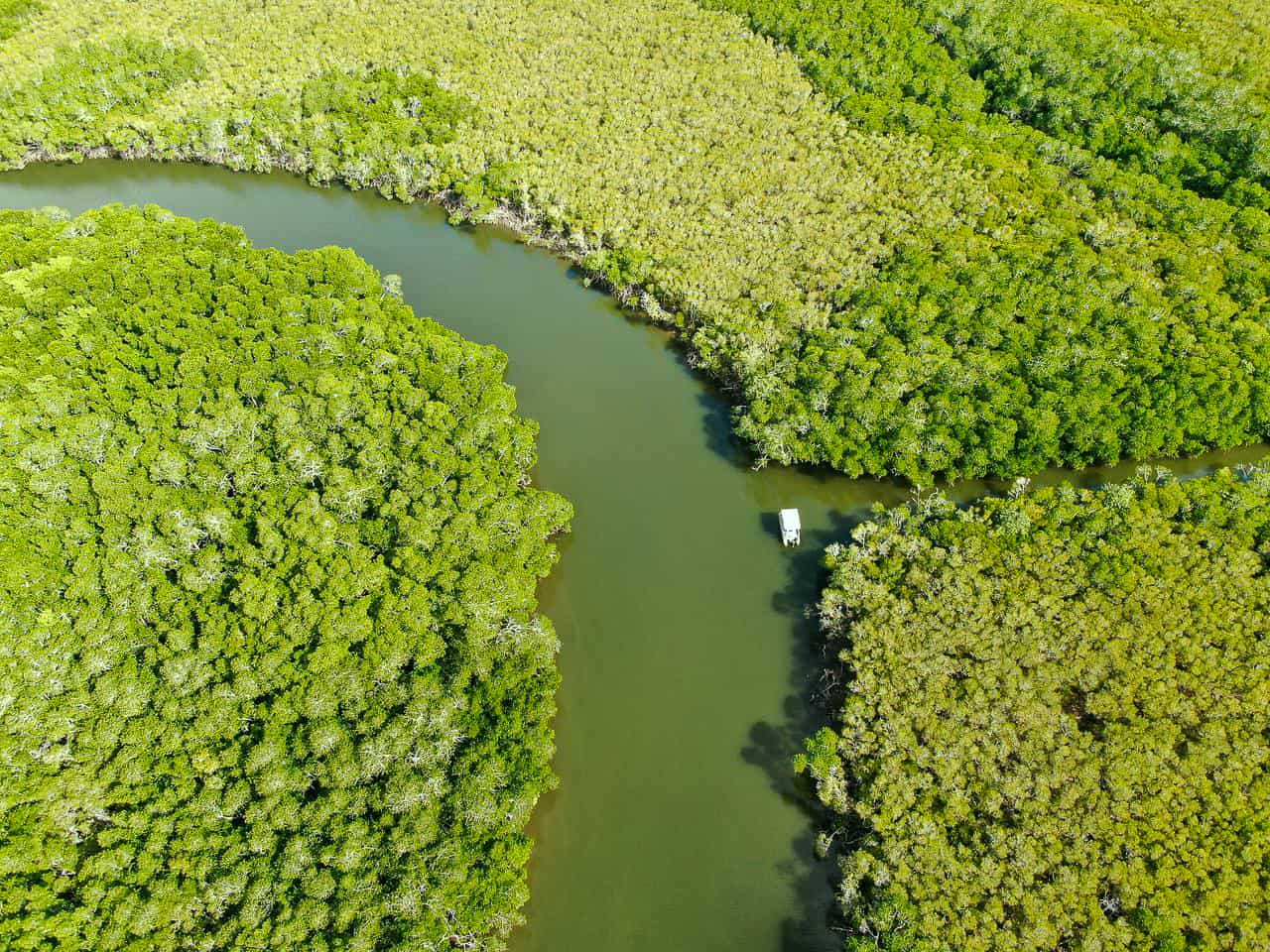 A drone shot of Dickson Inlet in Port Douglas, Australia // Travel Mermaid