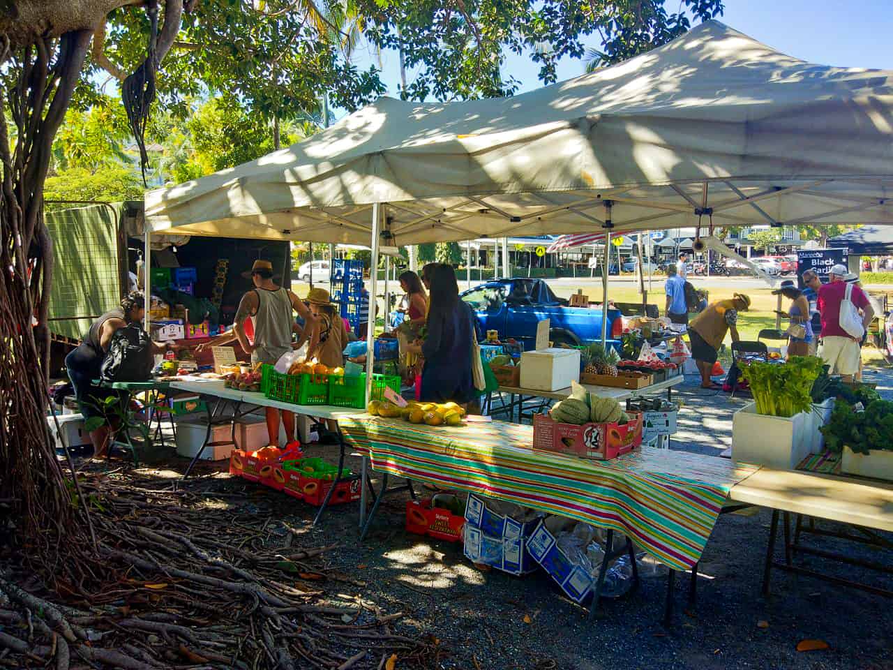 Port Douglas Sunday Markets, Far North Queensland // Travel Mermaid 