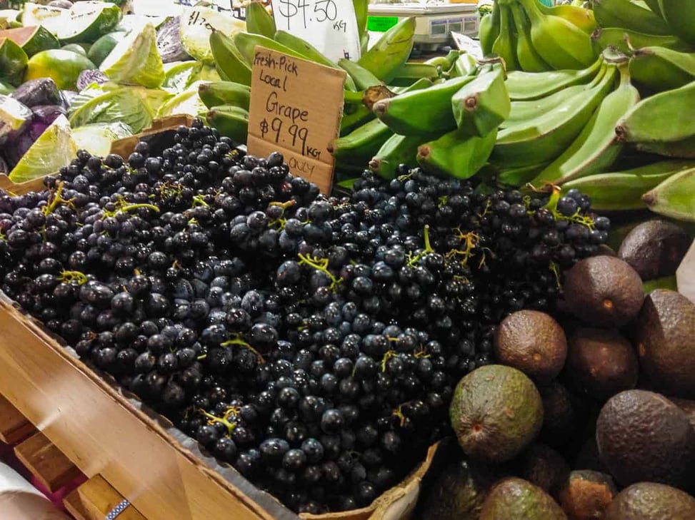 Produce at Rustys Market in Cairns, Far North Queensland // Travel Mermaid