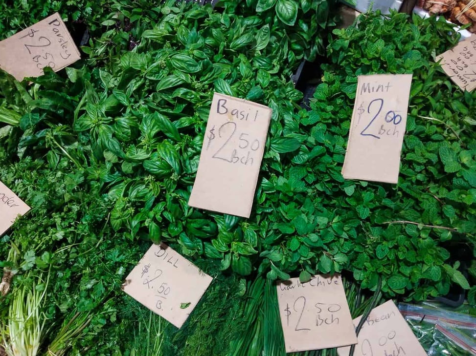 Herbs at Rustys Market in Cairns, Far North Queensland // Travel Mermaid